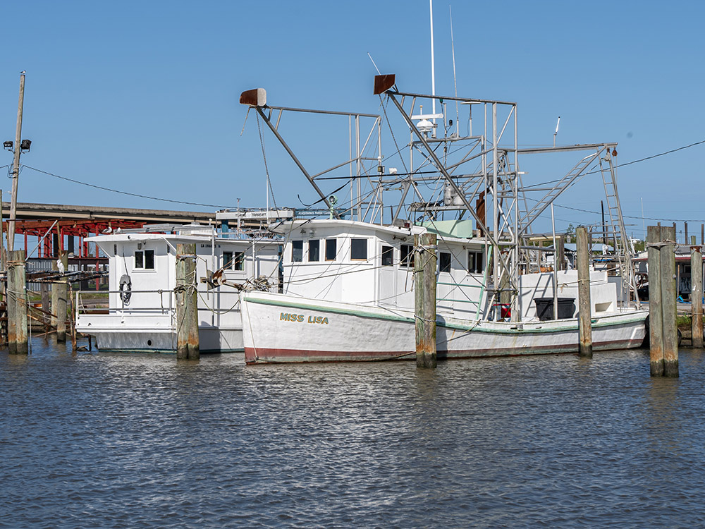 white shrimp boat docked at pier with other boats under blue skies