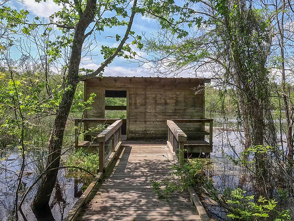 wooden structure over black bayou lake