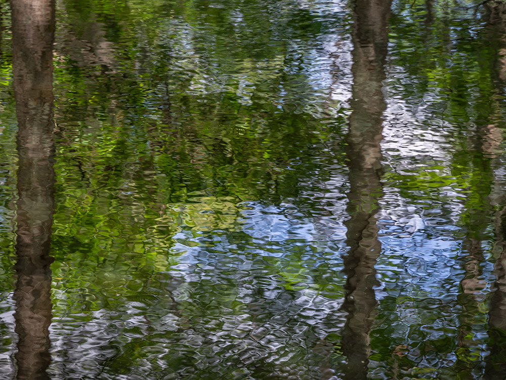 trees and sky reflect in water of black bayou lake