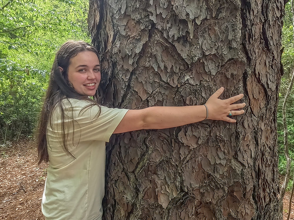 young woman with brown hair and wearing t-shirt embraces large pine tree