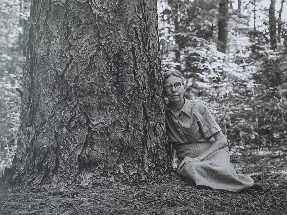 black and white photograph of woman sitting and leaning against a large pine tree