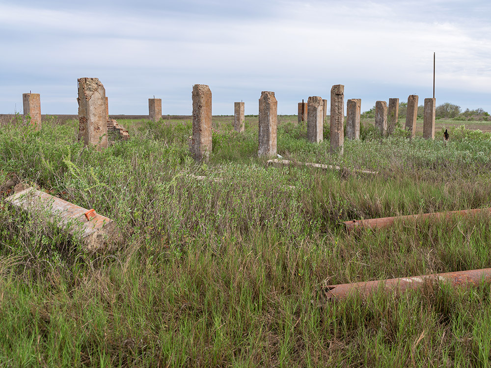 brick pilings stand above green grassy field