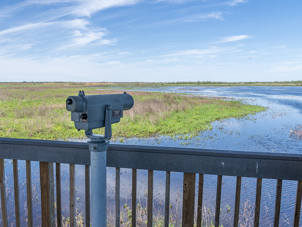 telescope on observation deck overlooking marsh on Creole Nature Trail