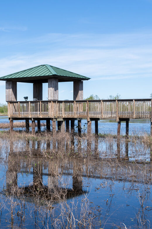 wood observation deck and boardwalk over marsh on Creole Nature Trail