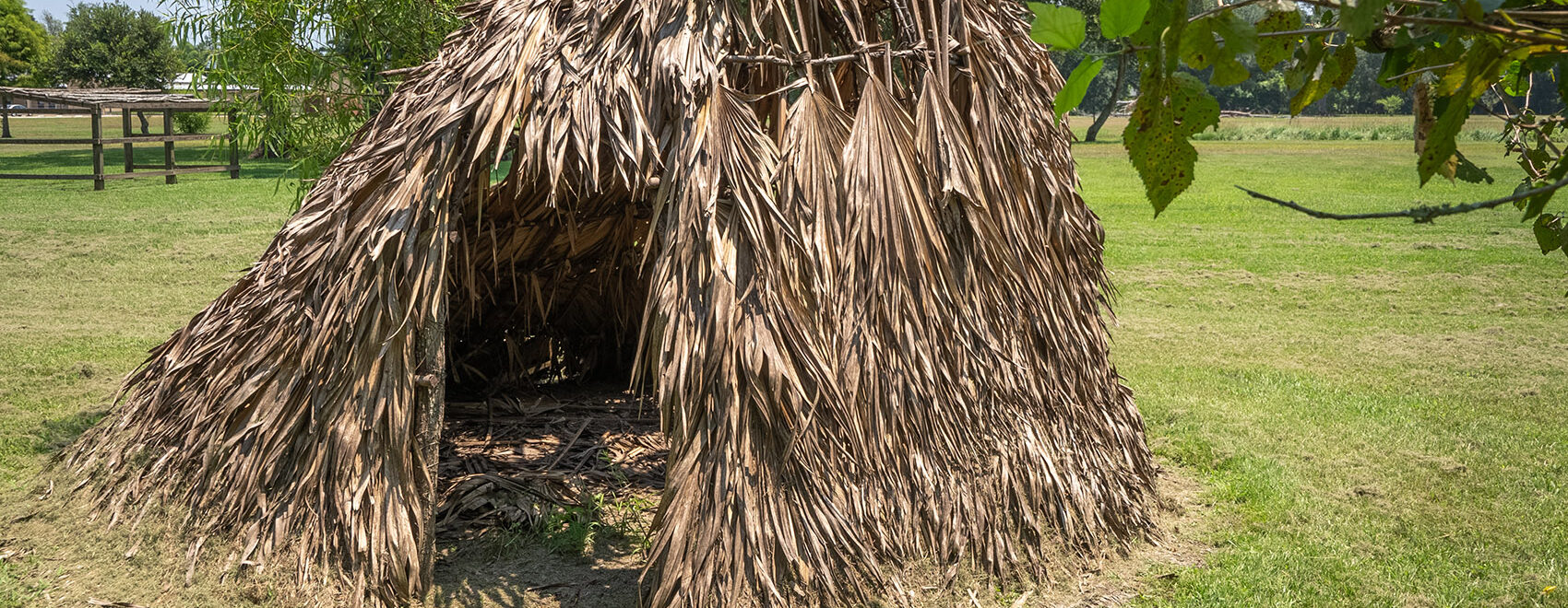 palmetto hut near tree branches on a mowed grass lawn