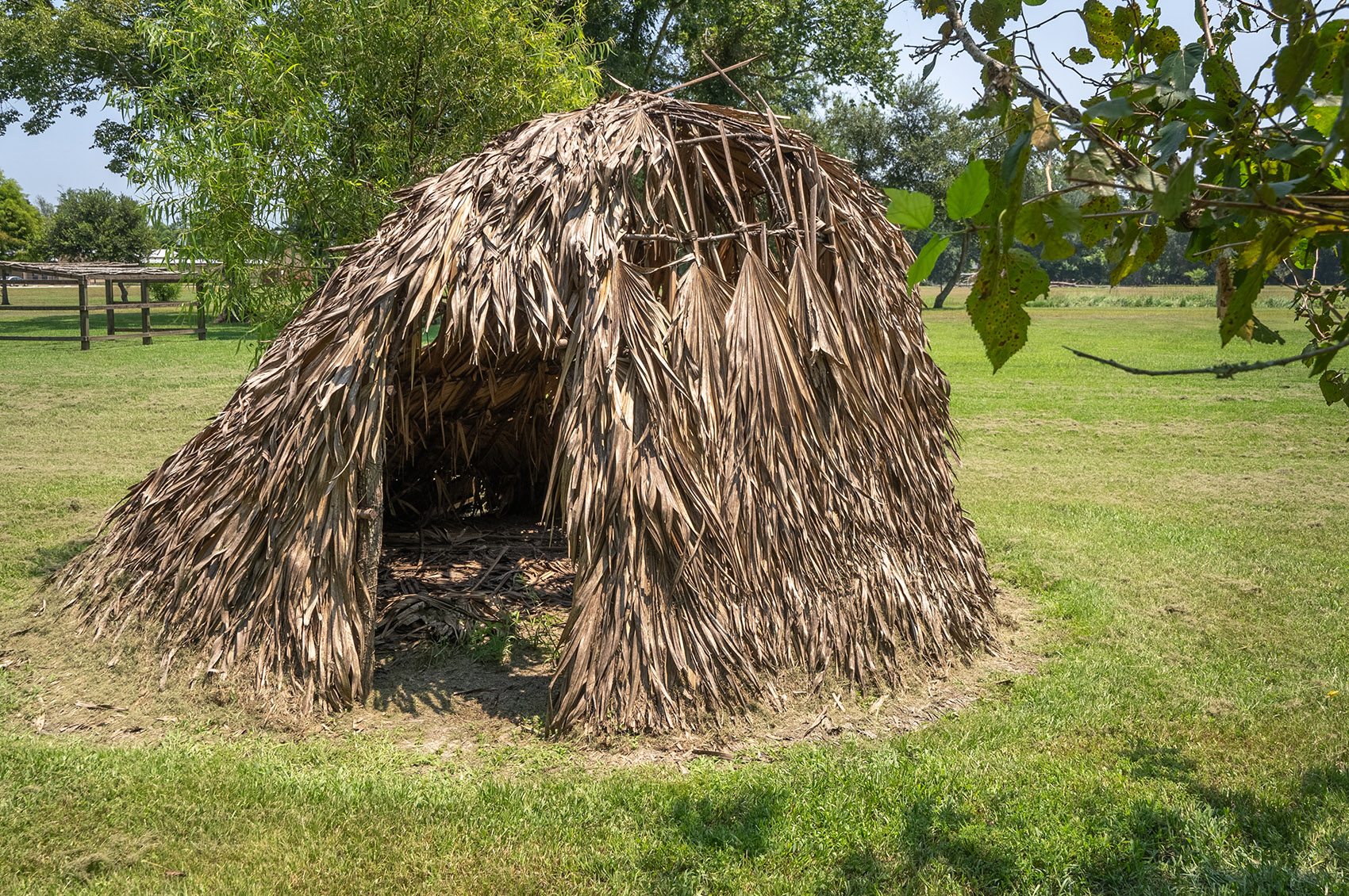 palmetto hut near tree branches on a mowed grass lawn