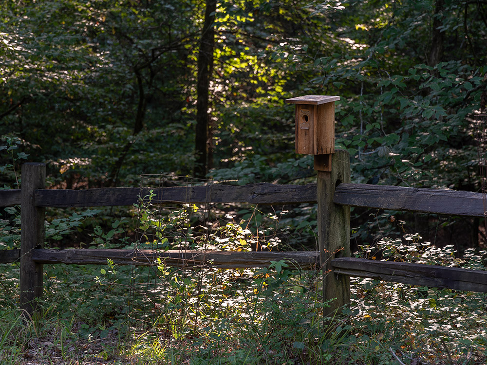 a bird house on wood fence post in the forest