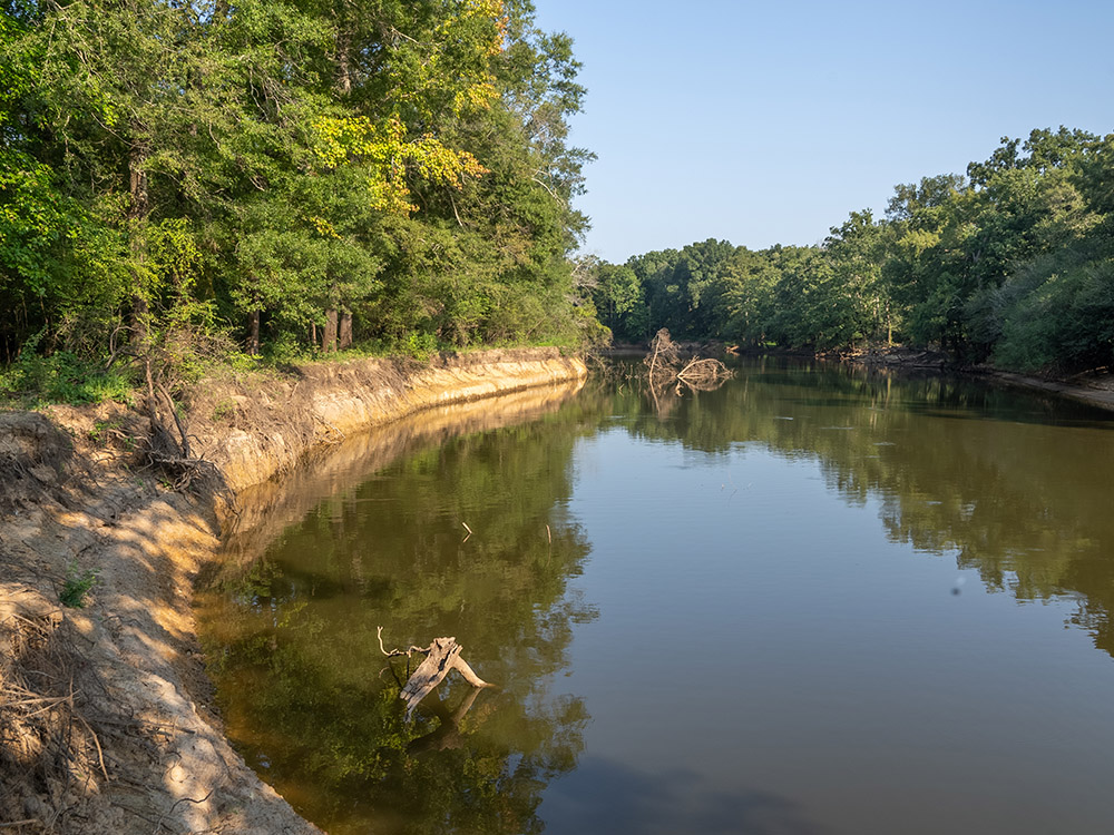 curving shoreline of waterway bordered by trees