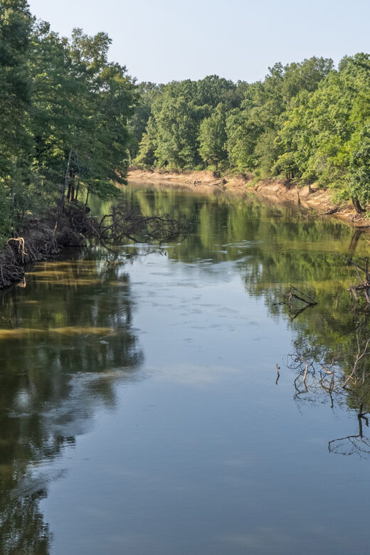 trees line the shoreline of bayous in Louisiana