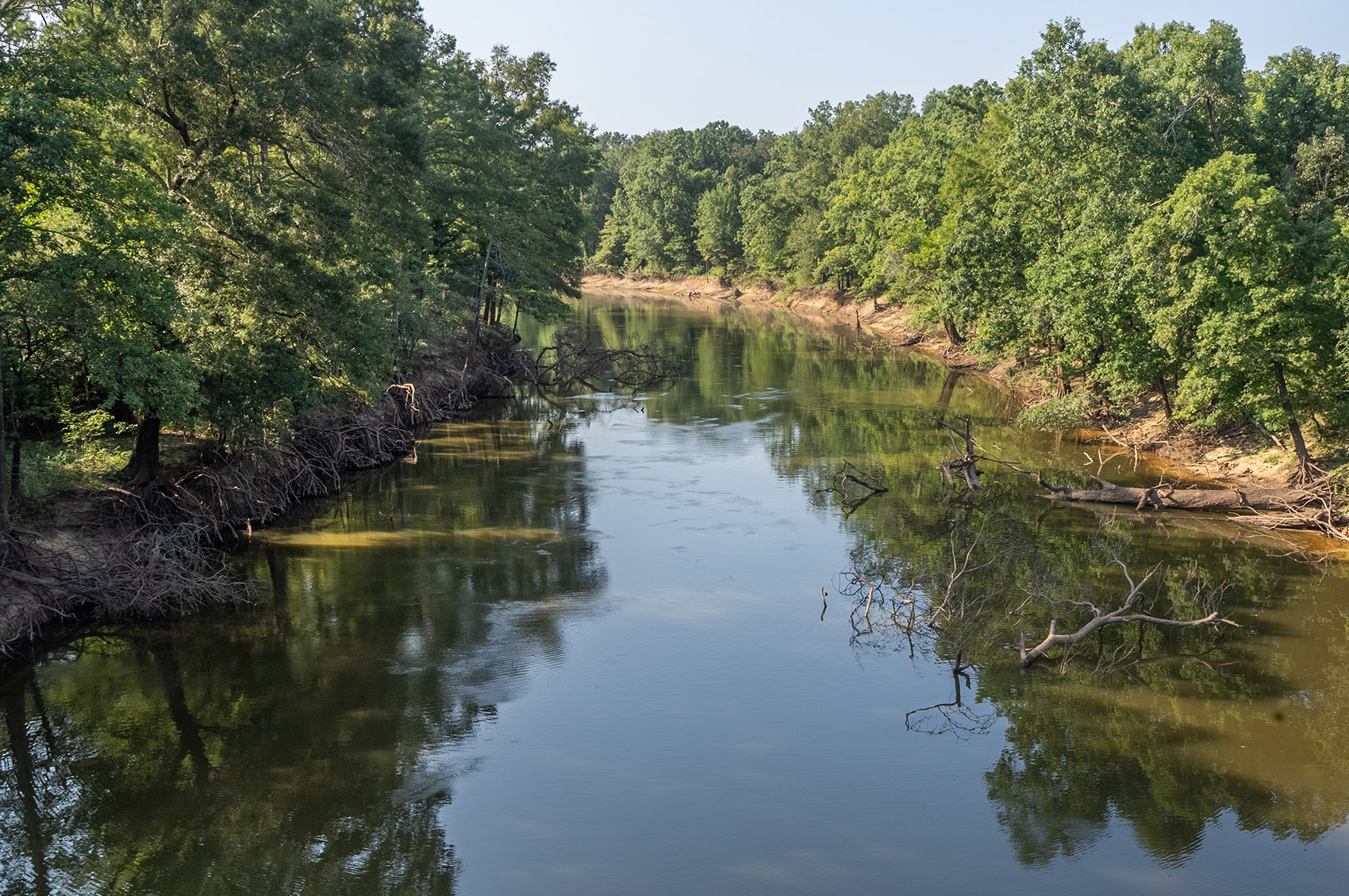 trees line the shoreline of bayous in Louisiana