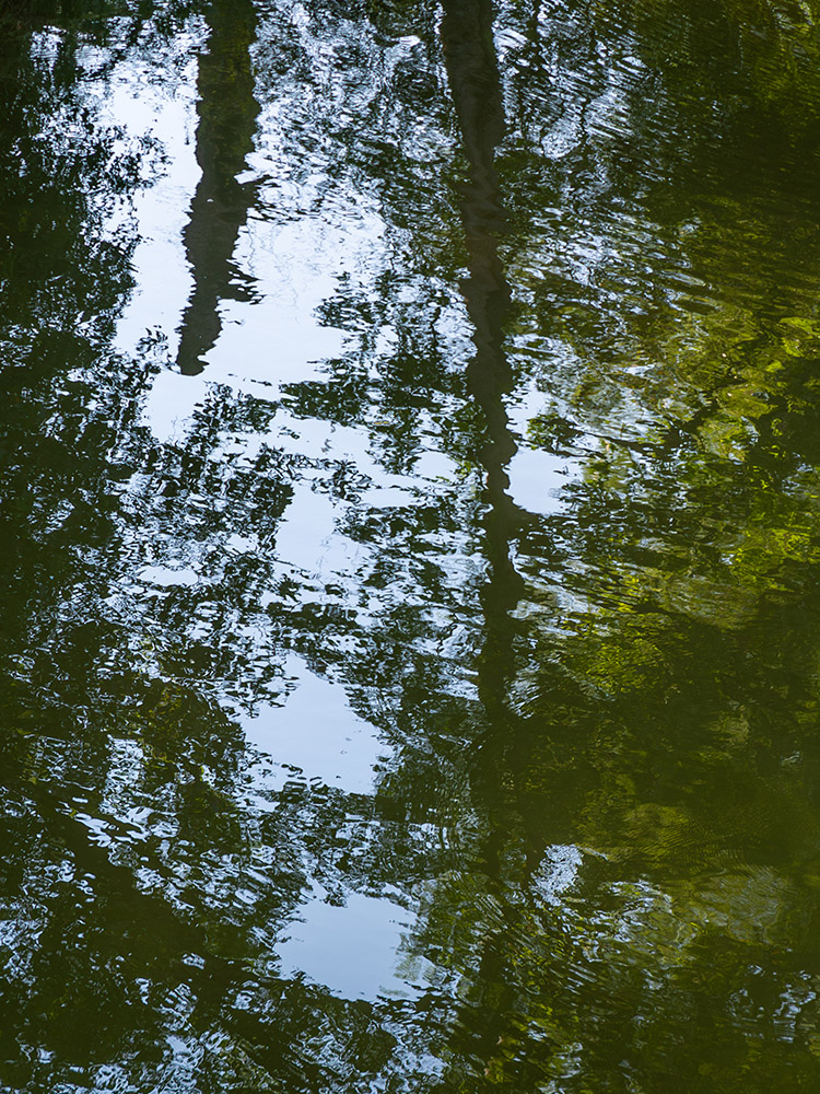 trees and blue sky reflect in calm water of bayous