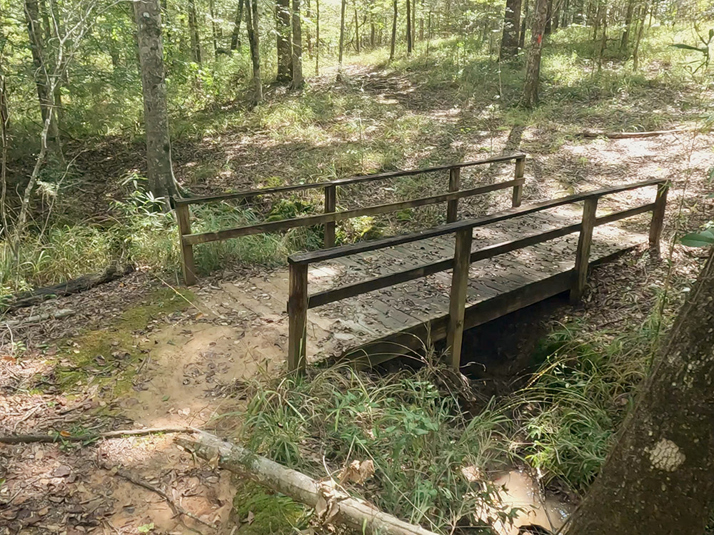 hiking trail with short wood bridge over small stream in the woods