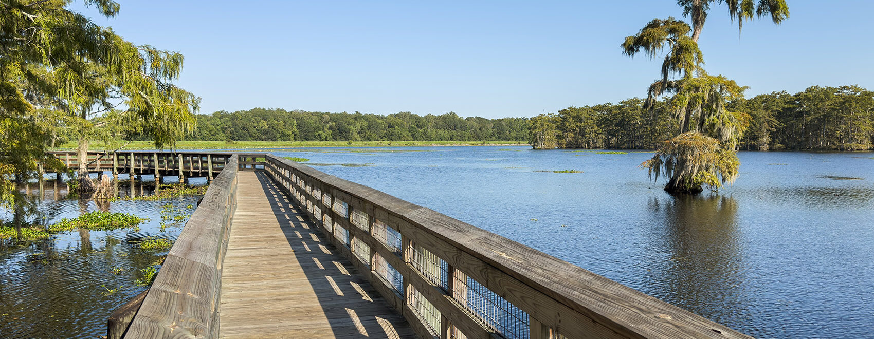 pier over water with cypress trees and blue sky