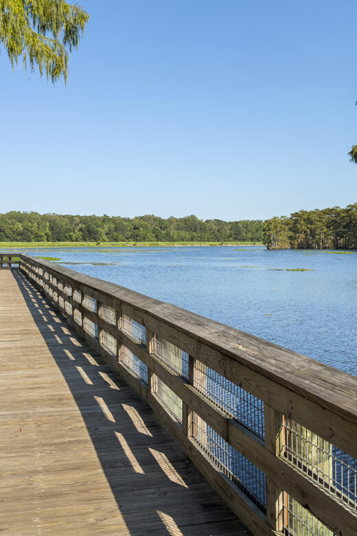 pier over water with cypress trees and blue sky