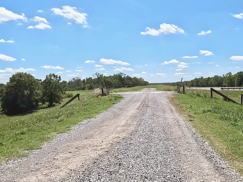 gravel road surrounded by grass and trees under blue sky