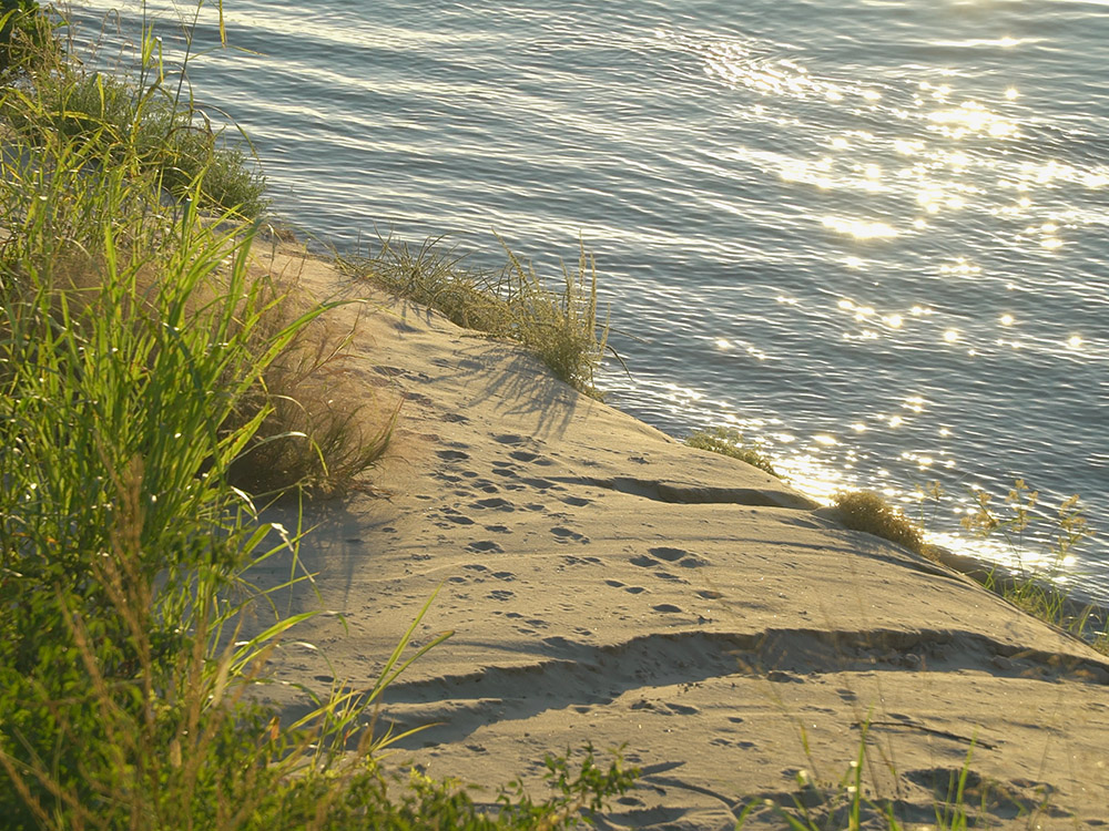 sand on shorline with green grass and sun reflected in ripples in water