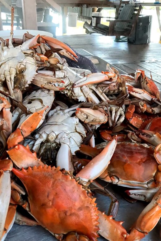 platter stacked with red colored boiled crabs