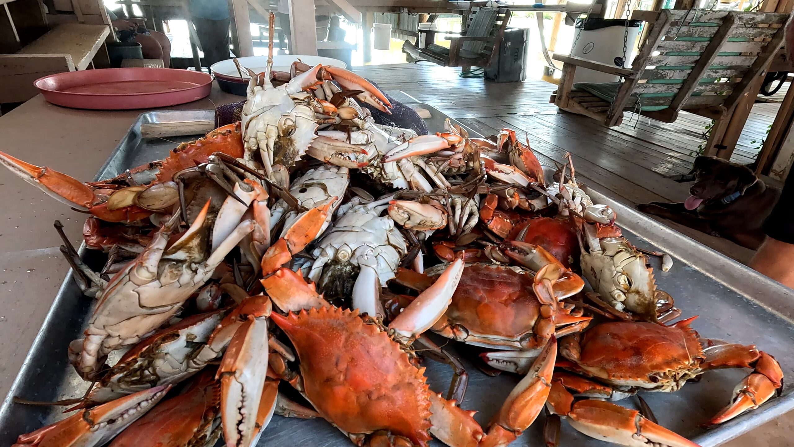 platter stacked with red colored boiled crabs