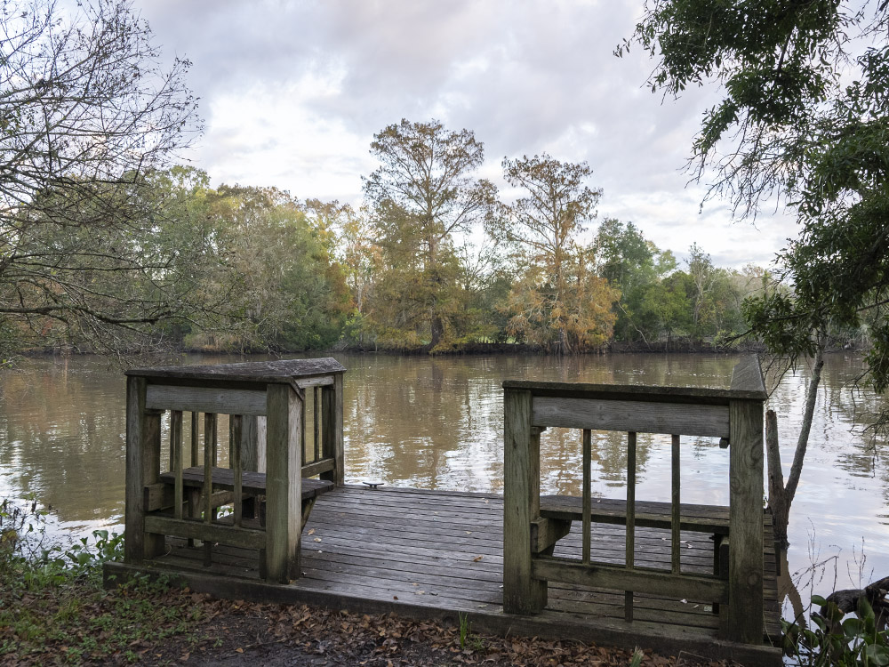 small deck over water in Lake Fausse Pointe State Park