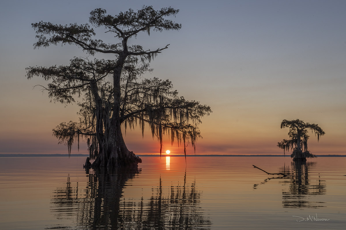 setting sun over lake with 2 cypress trees