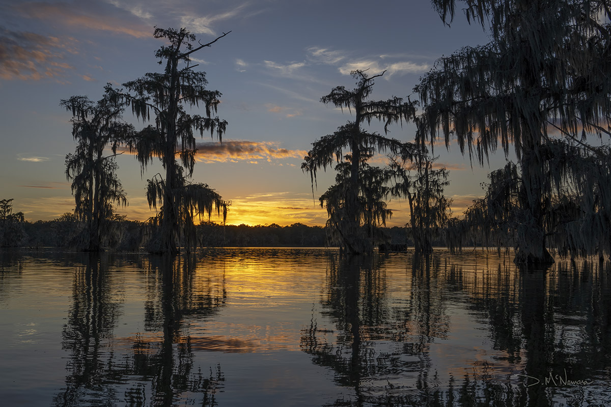 sunset afterglow on lake with cypress trees and moss