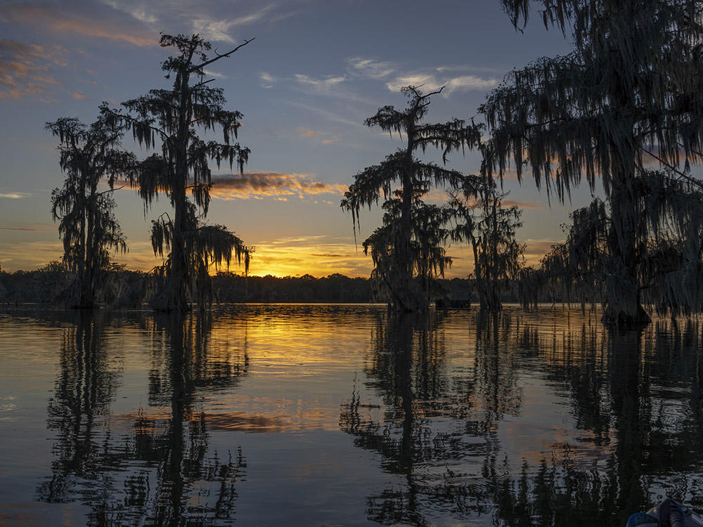 sunset afterglow on lake with cypress trees