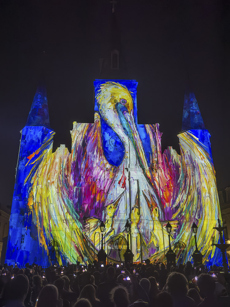 painting of pelican projected on cathedral in light show