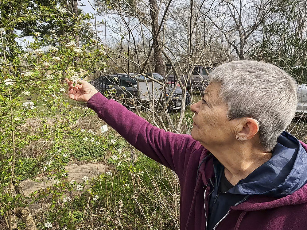 woman with short gray hair wearing maroon jacket points to white flowers on plant