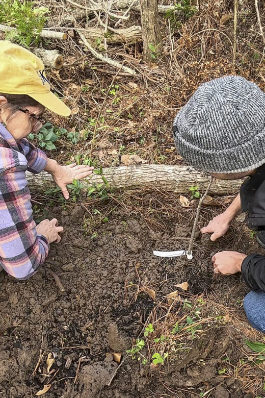 woman and man wearing caps plant small tree in a forested area