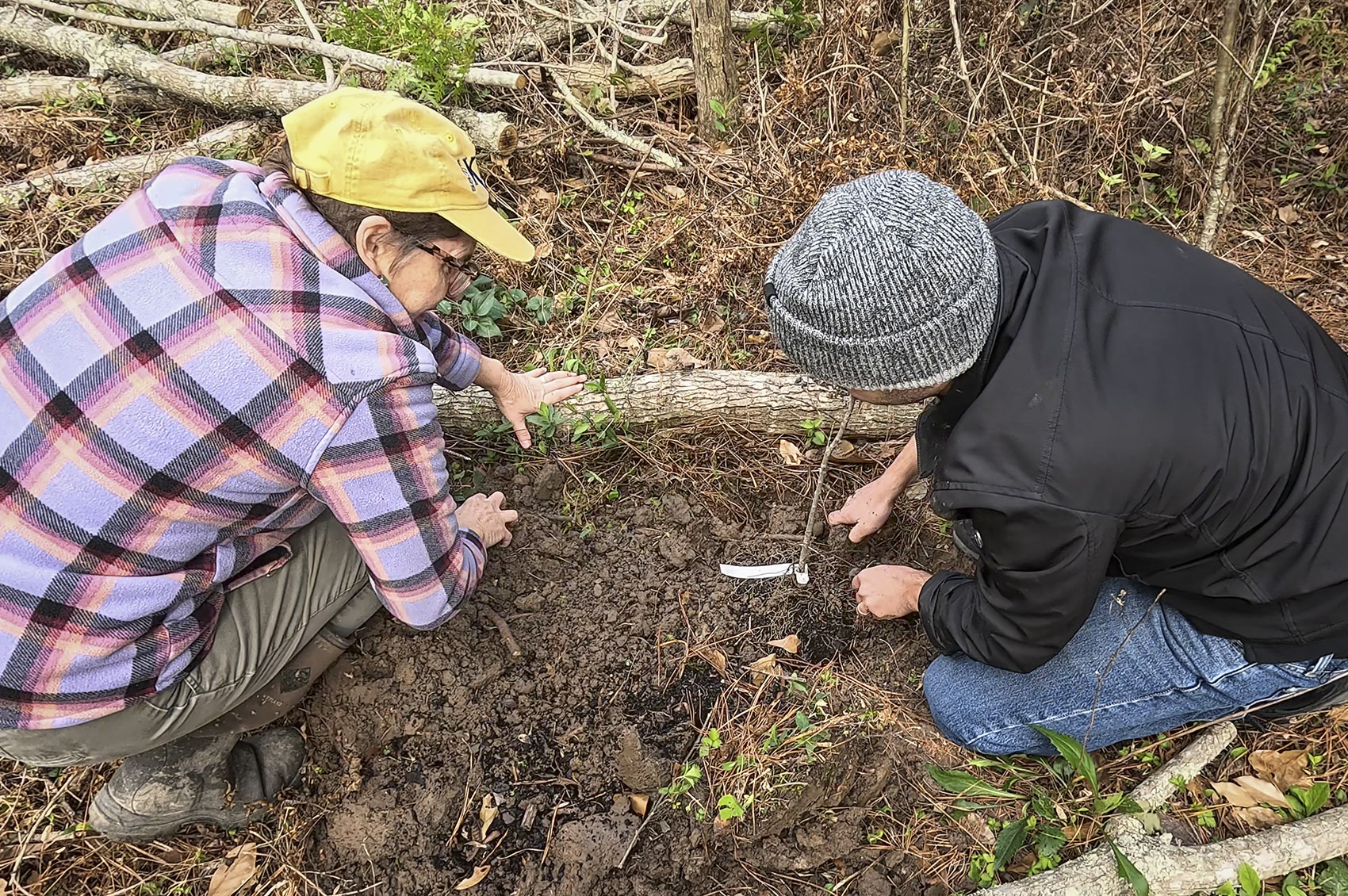 woman and man wearing caps plant small tree in a forested area