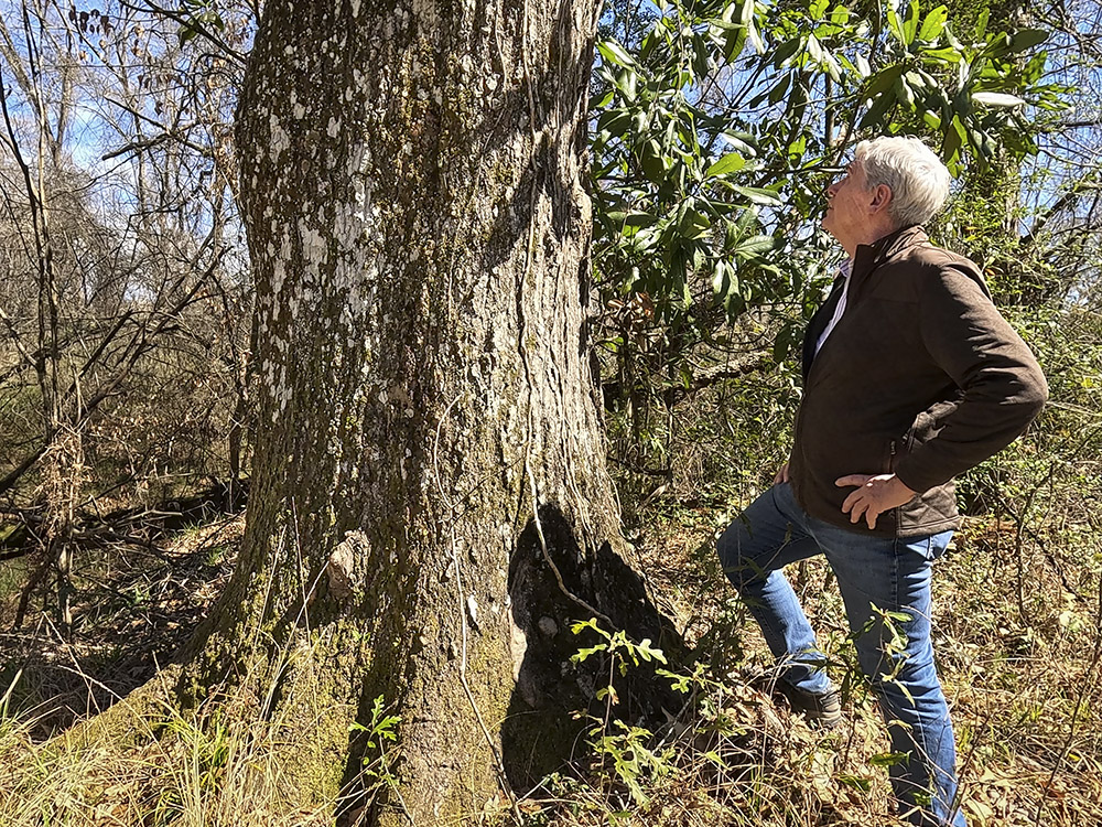 man with gray hair, wearing brown jacket and blue jeans standing next to large tree trunk