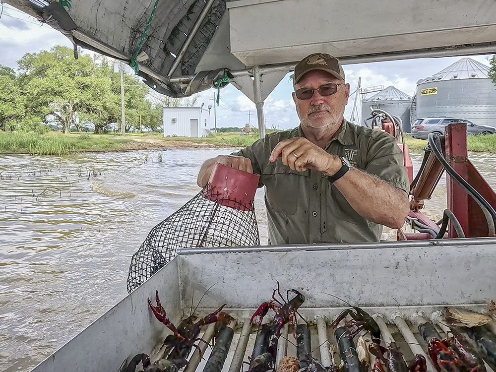 Man wearing green shirt and cap holding crawfish trap in small boat
