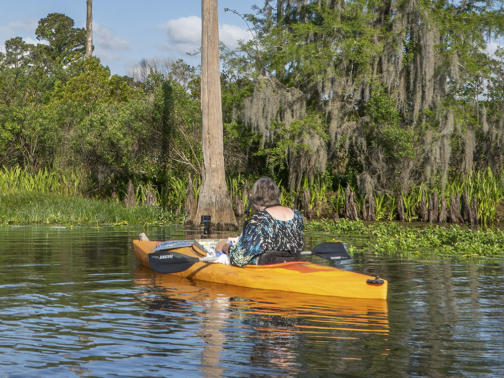 woman artist in kayak painting trees along a bayou