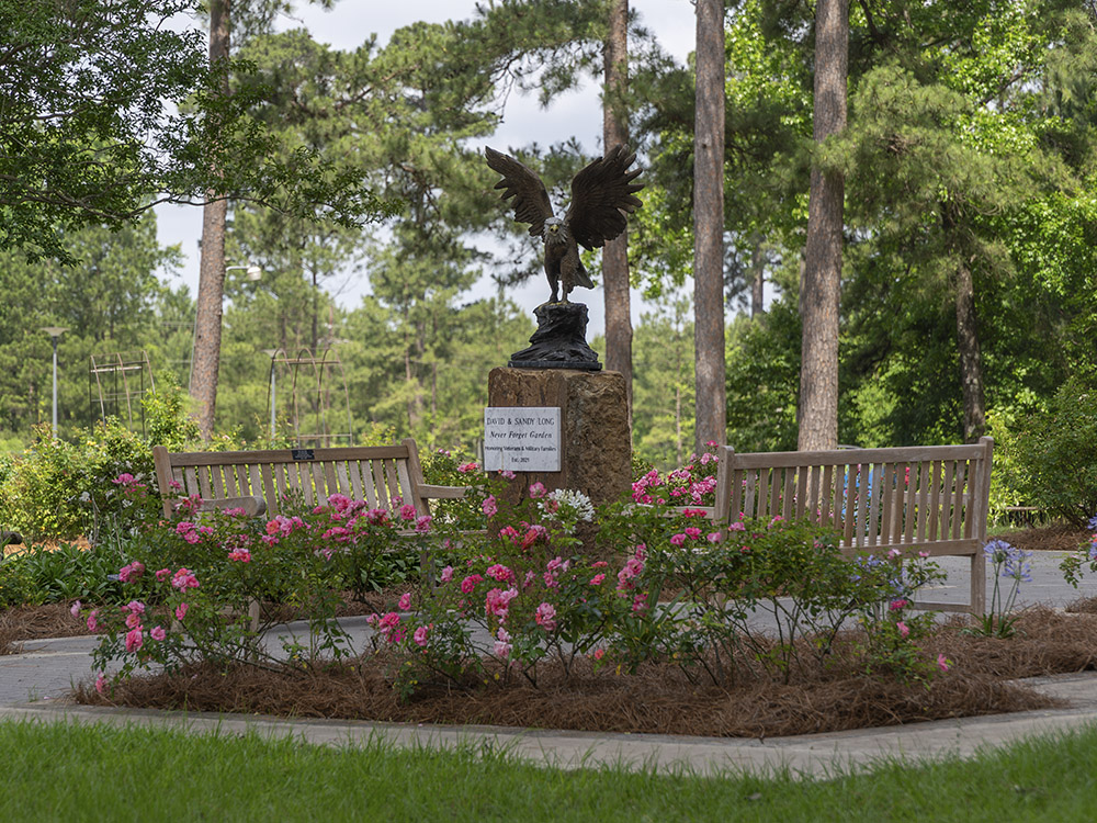 blooming roses, eagle statue and wood benches in rose garden