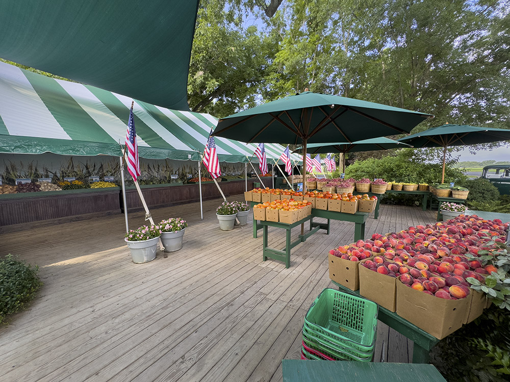 farmers market with bins of fresh fruit and vegetables and green and white striped tent