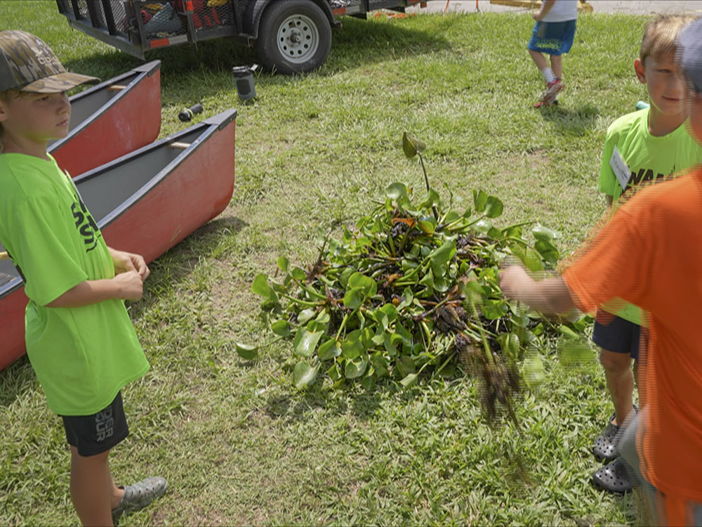 children create pile of plants