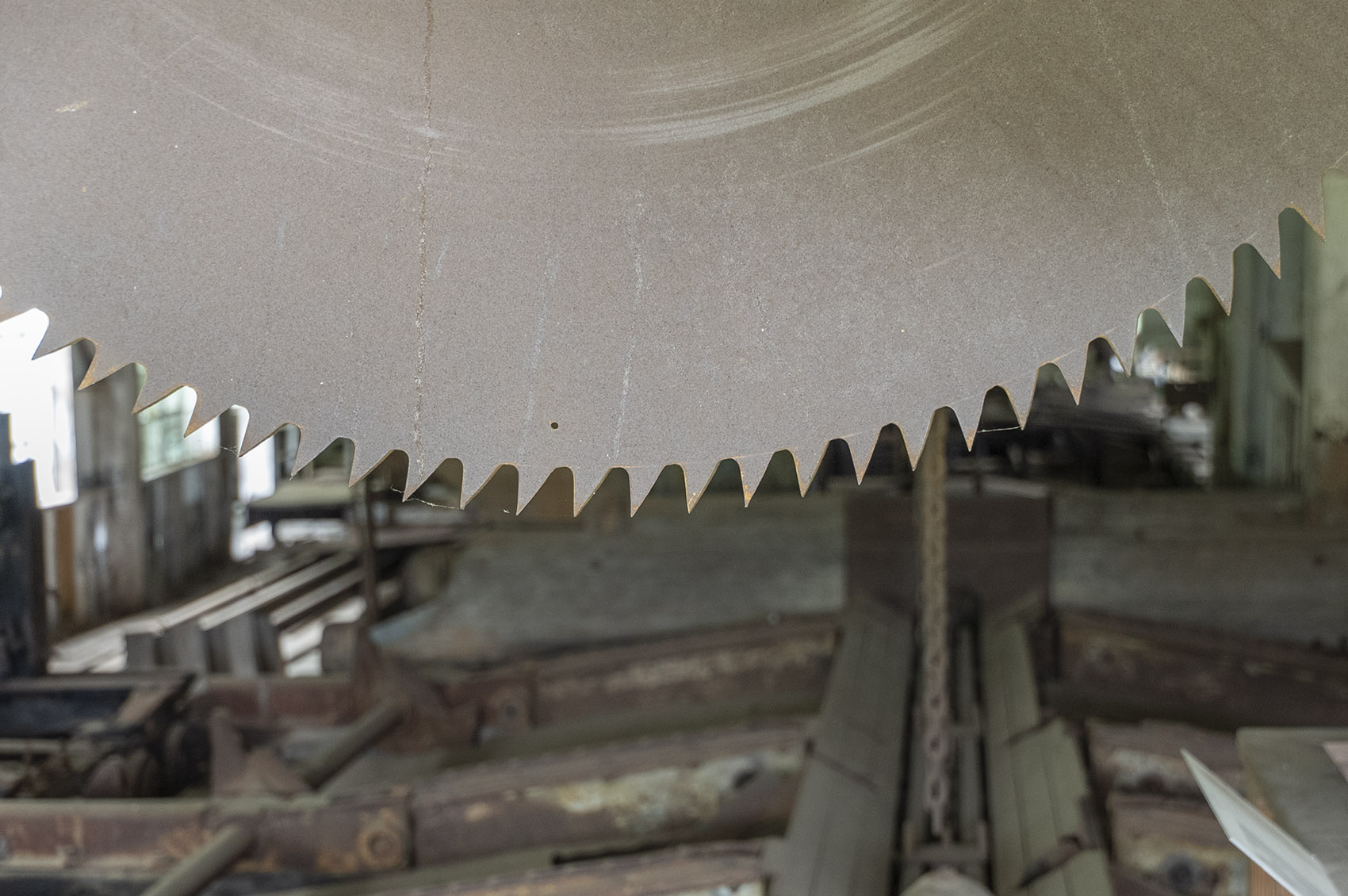large steel saw blade in sawmill museum