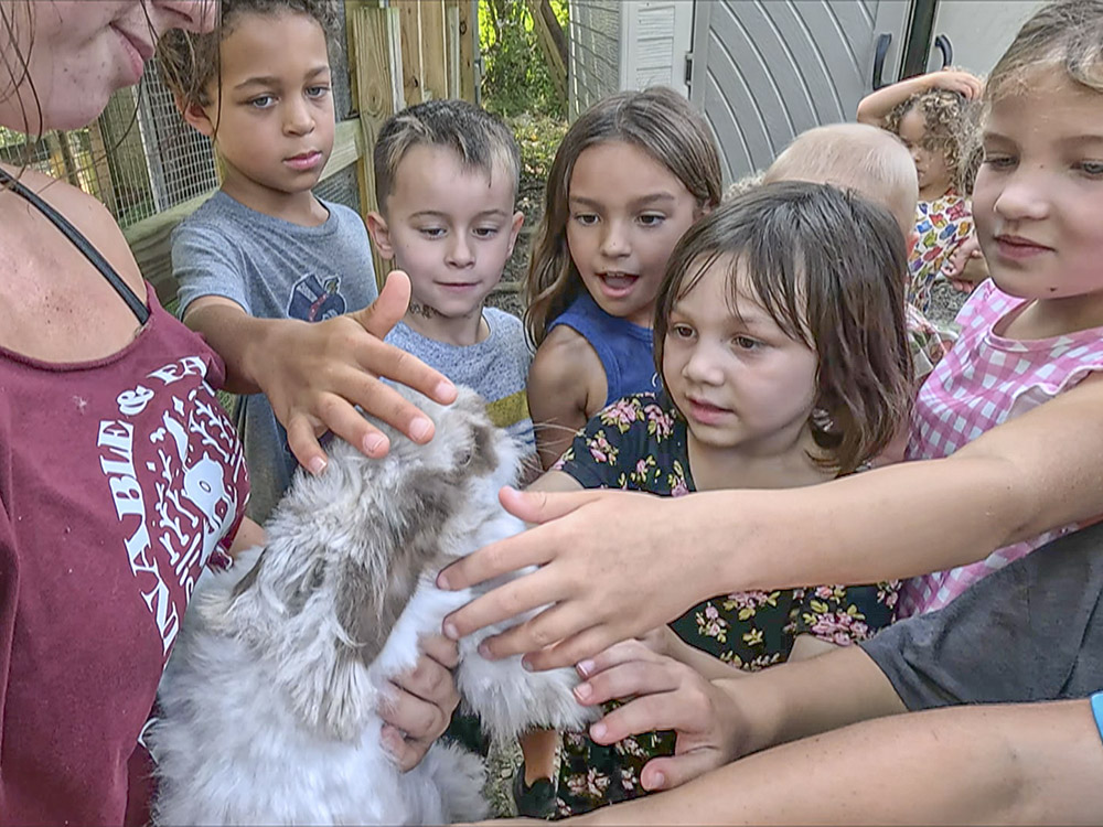 young children pet an angora rabbit being held by adult on sugar roots farm