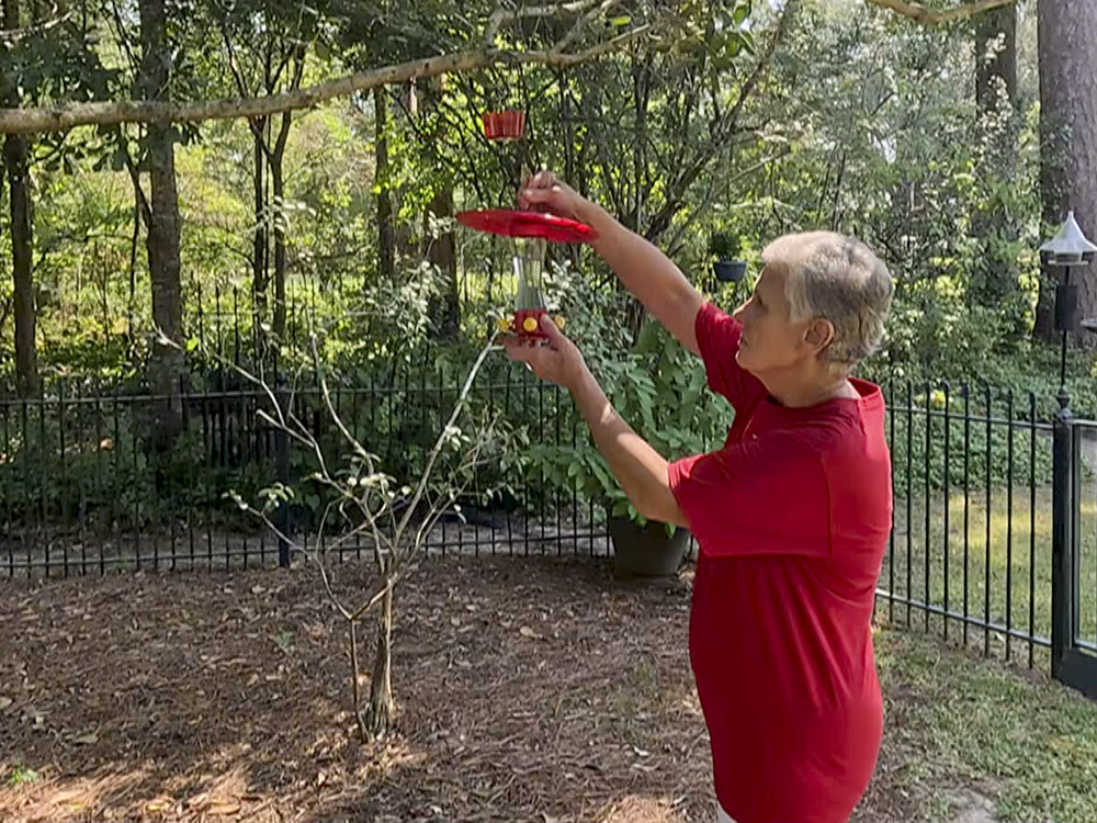 woman in red t-shirt hands red hummingbird feeder in tree