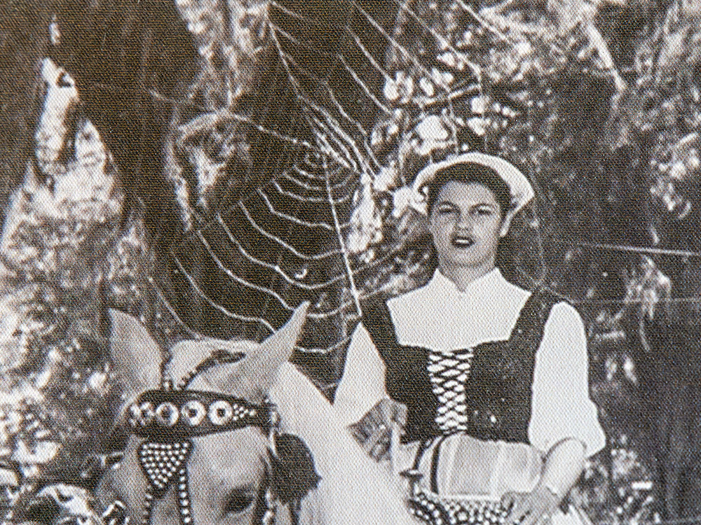 woman in 1800's dress and hat on horseback with large spiderweb in tree