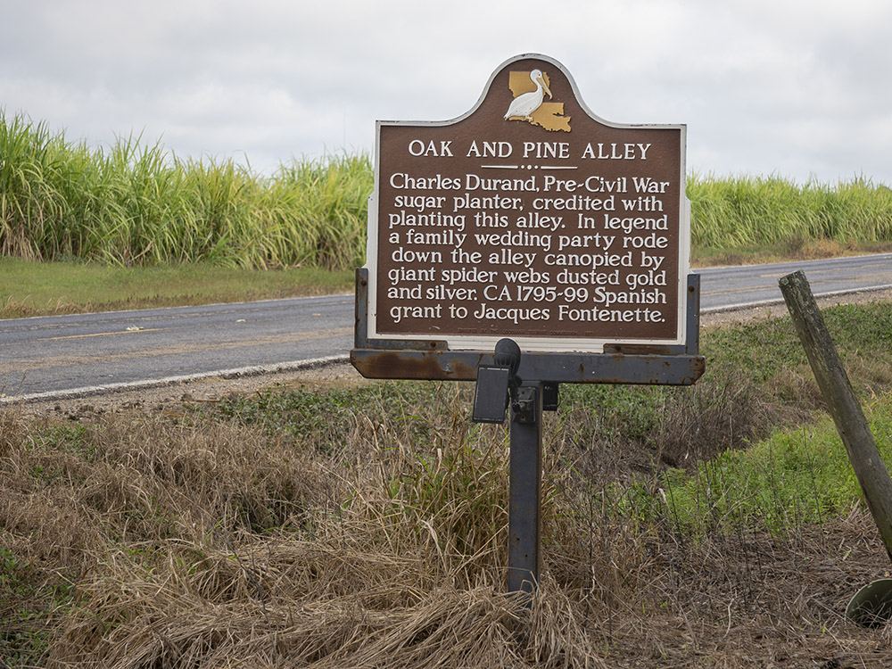 brown metal historic marker sign along highway showing oak and pine alley