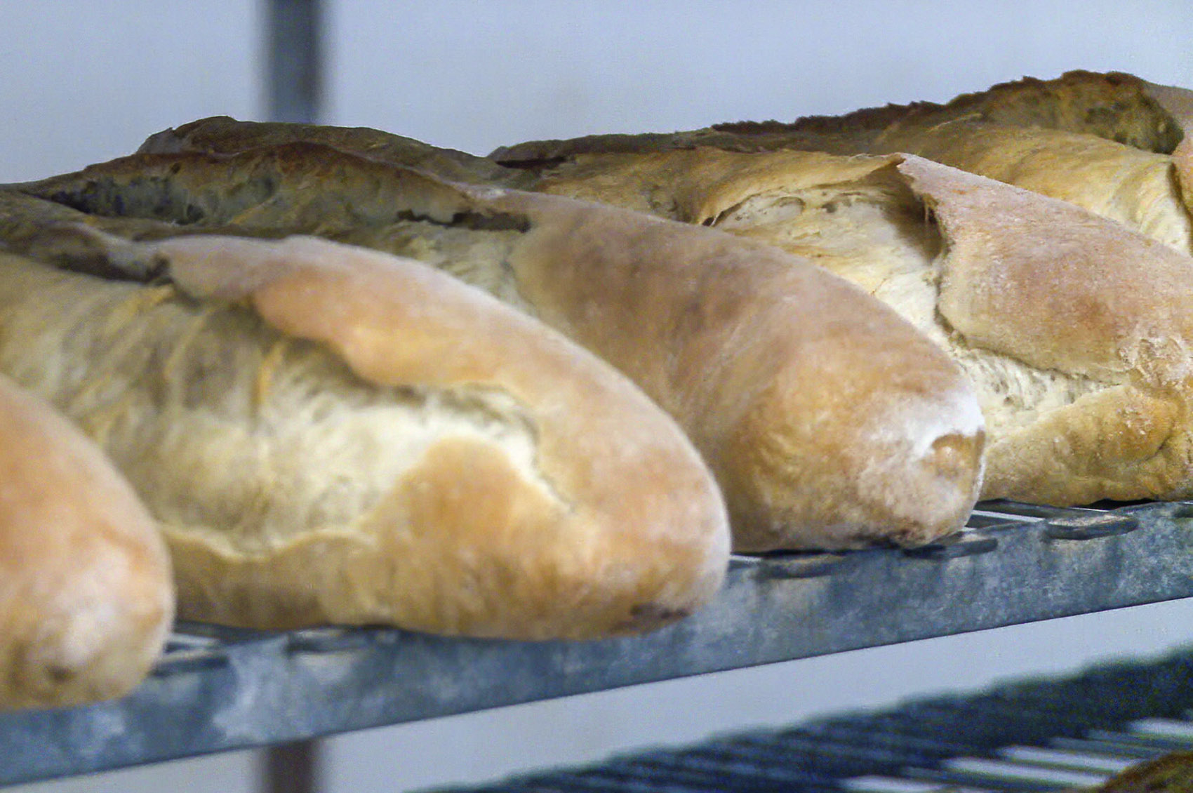 loaves of backed french bread on a shelf