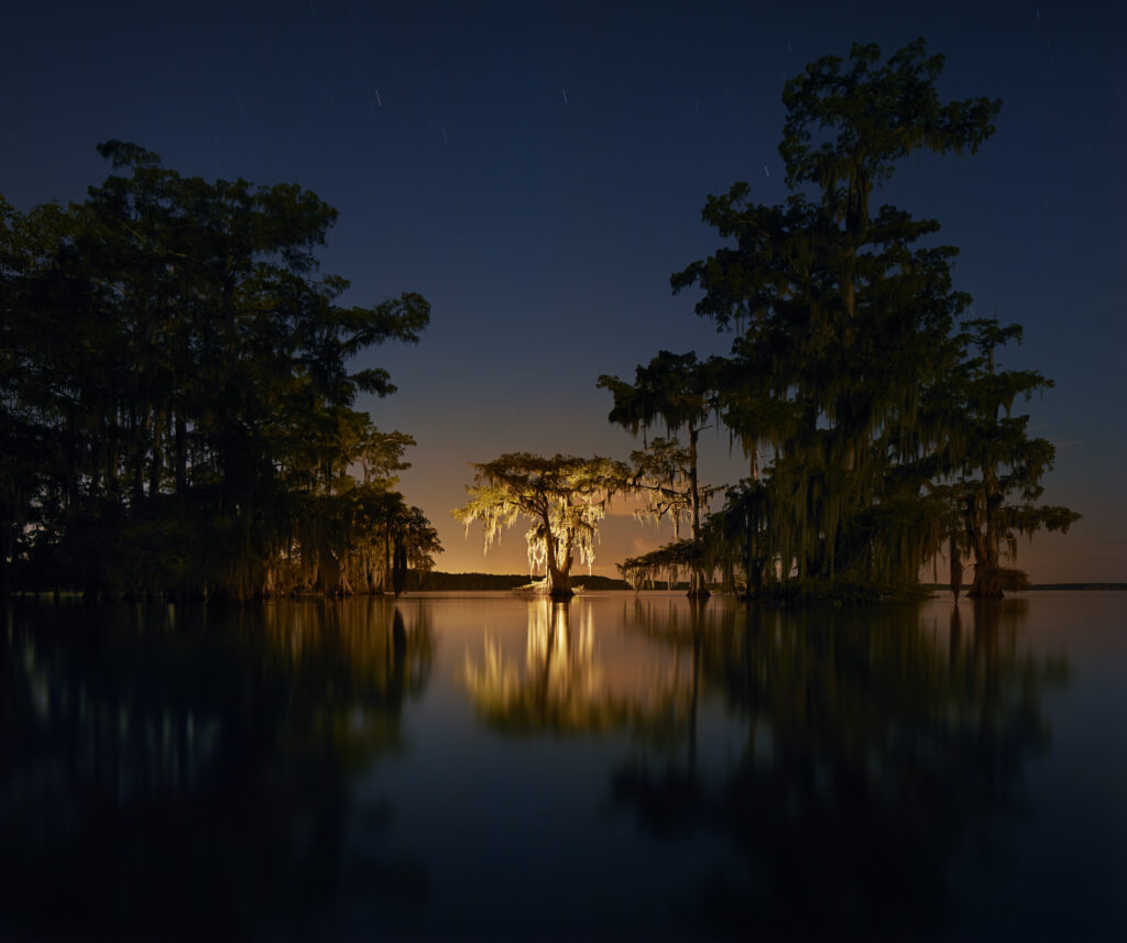 relle photography of lighted cypress tree in lake at night