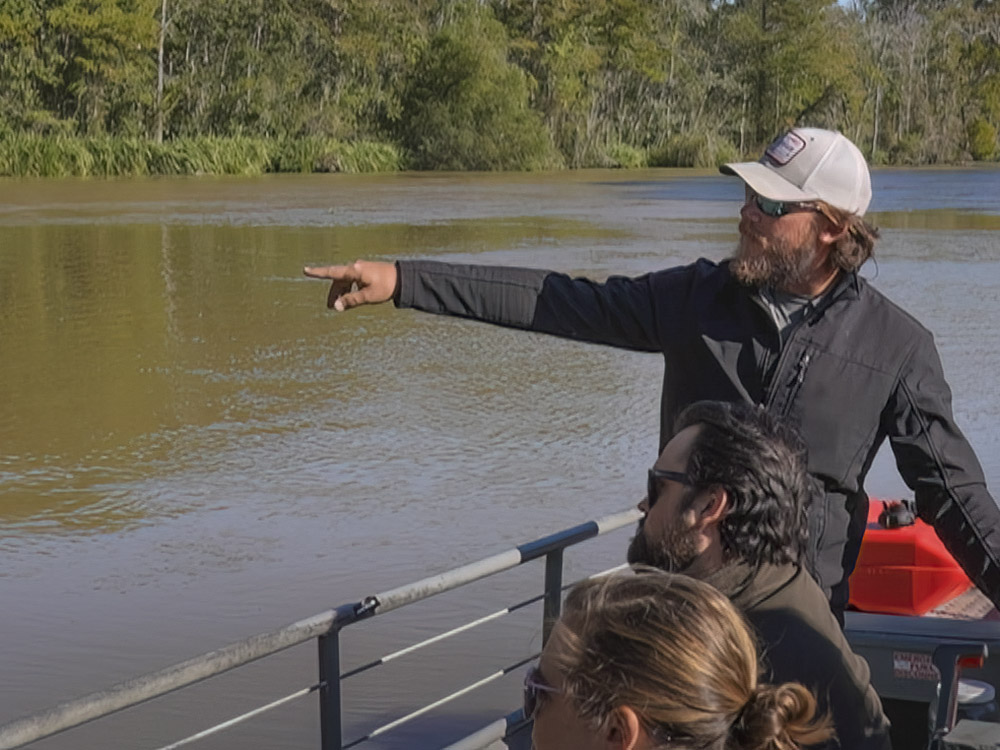 bearded man in gray shirt and white cap points to alligator in swamp