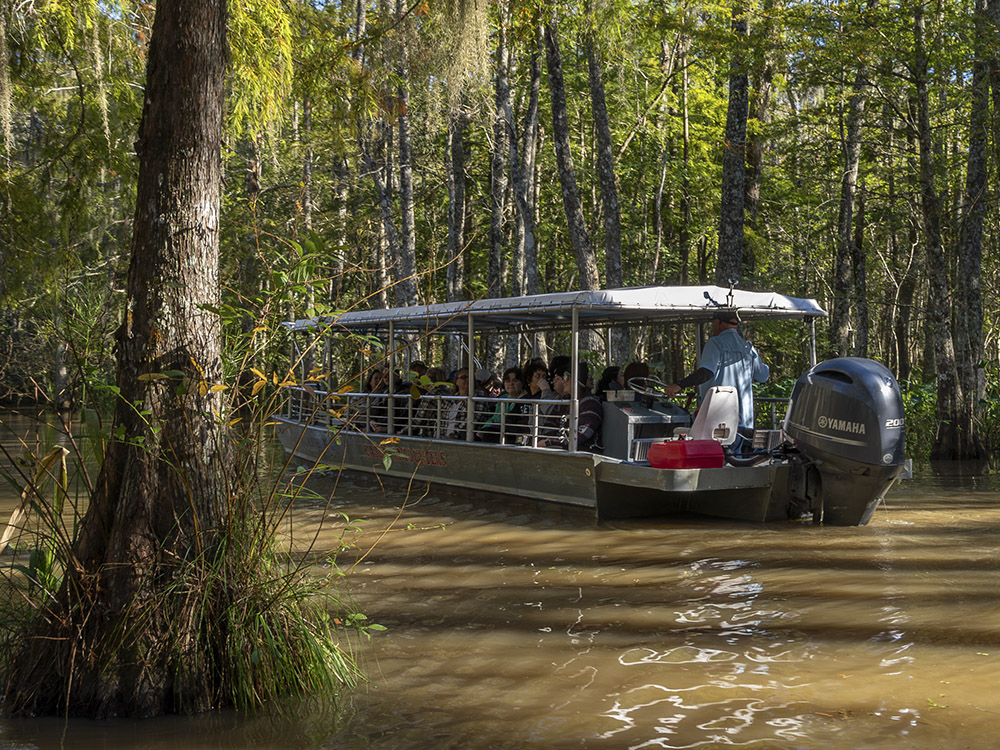 honey island swamp tour boat on the water