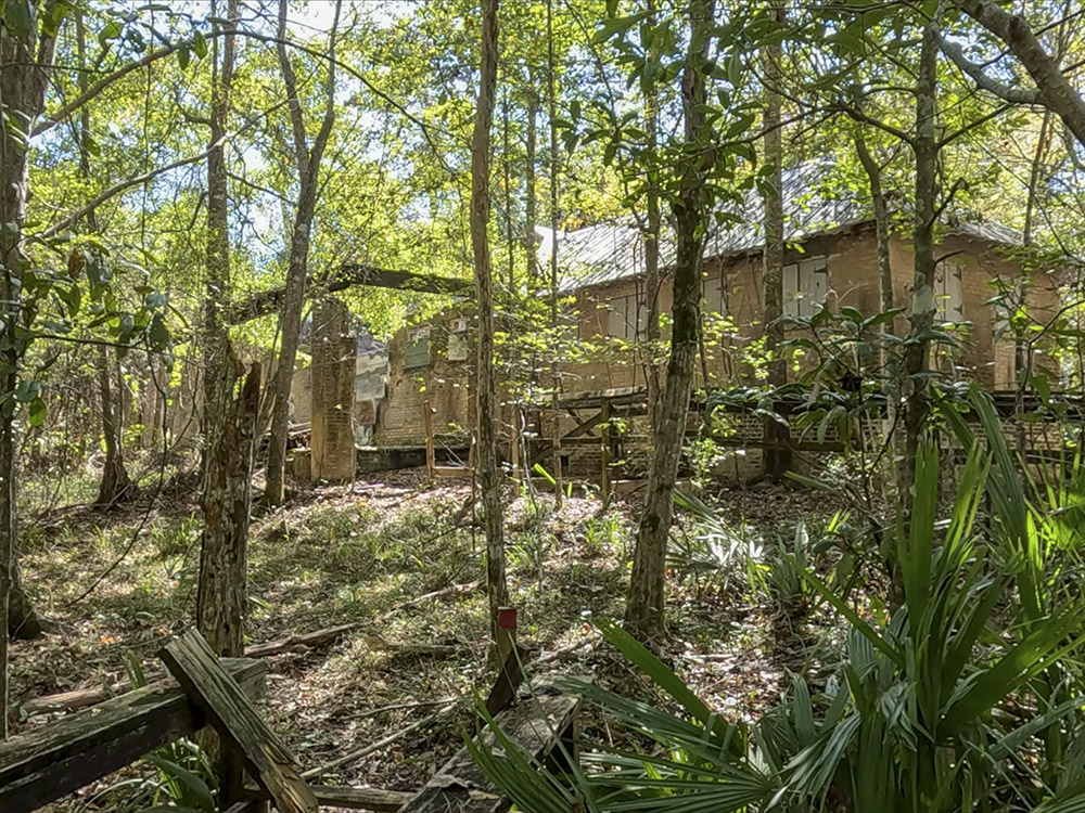 boarded up brick building overgrown with trees in woods