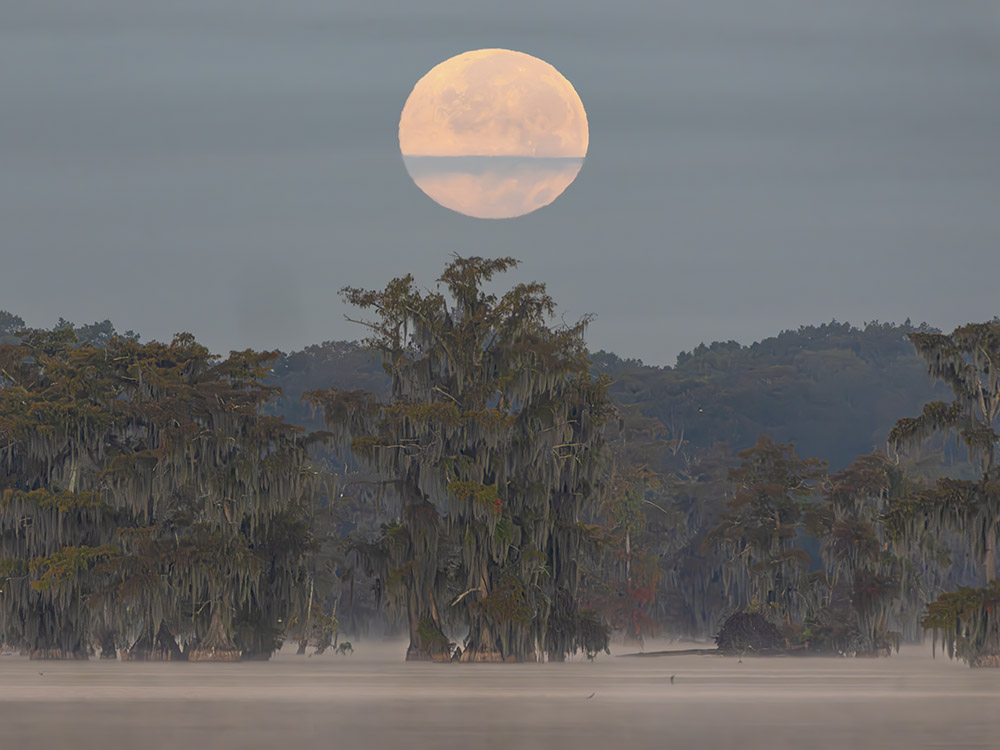 full moon sets over foggy louisiana swamp before dawn