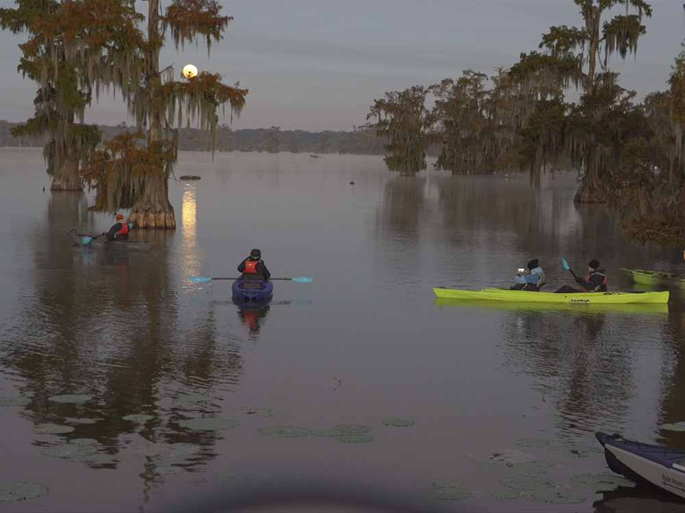 kayak tour watches moon setting over Louisiana swamp