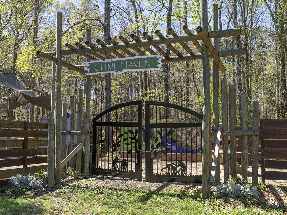 wood framed gated entrance to chimp haven
