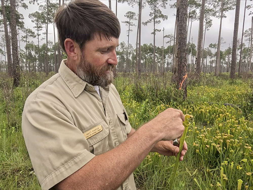man with dark hair and bear in tan uniform shirt holds small green plant
